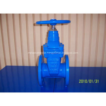 Resilient Seat Cast iron Gate Valve